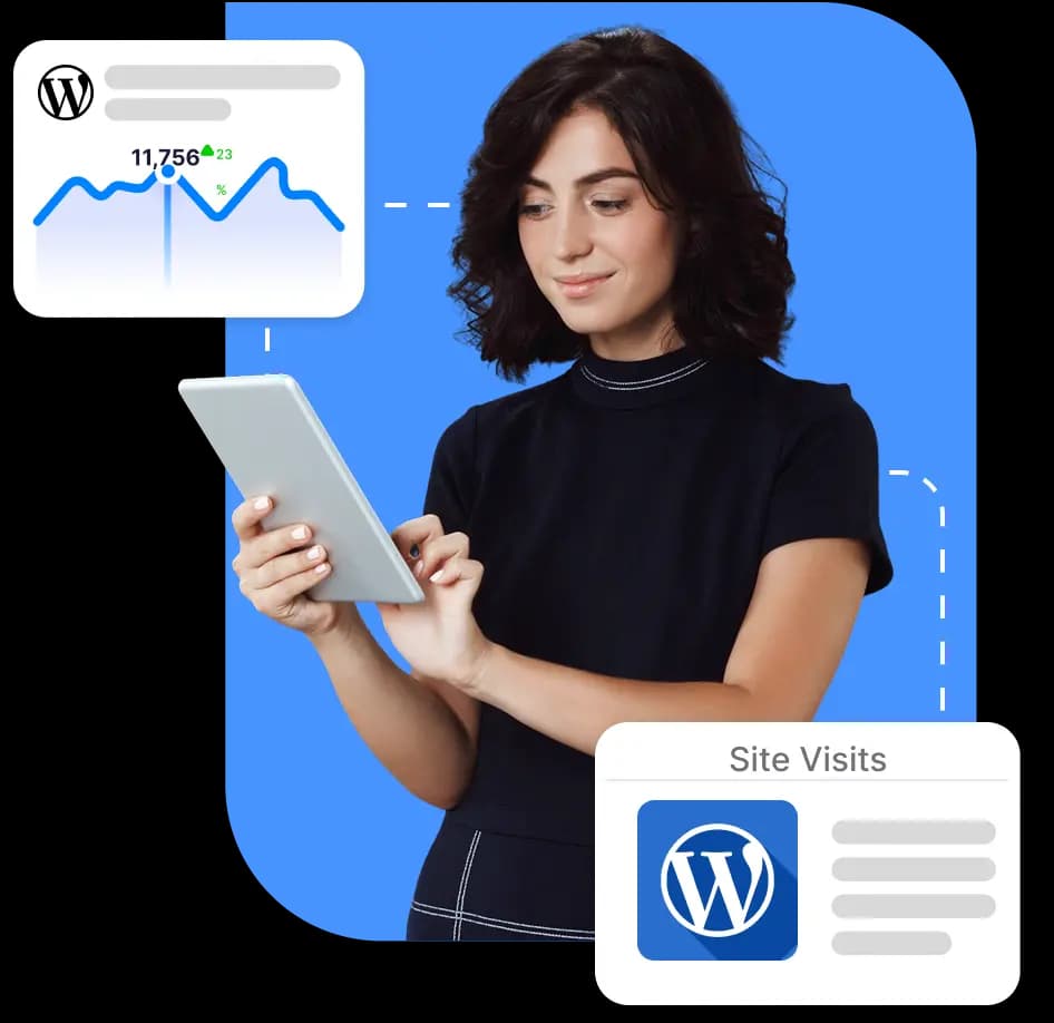 WordPress Hosting Illustration